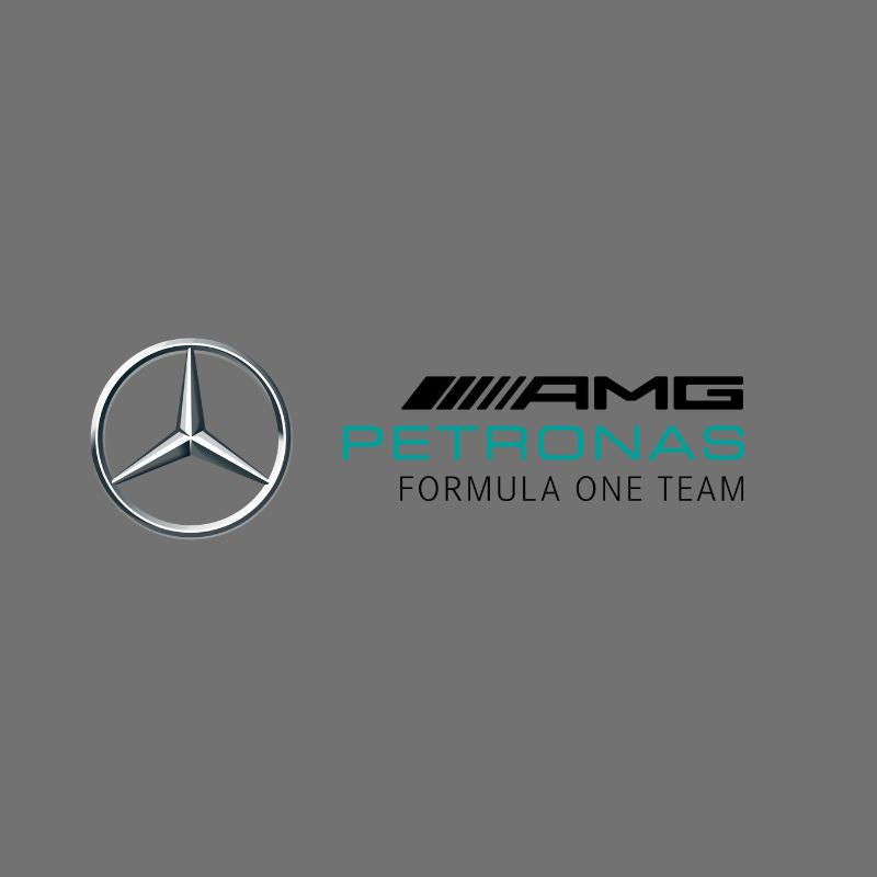 Mercedes F1 Team Posters - F1 Fine Art Prints – Postersport