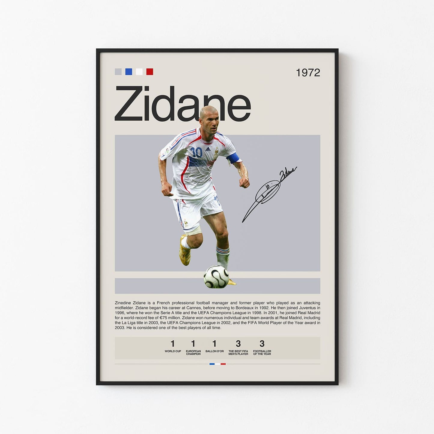 Zinedine Zidane Poster