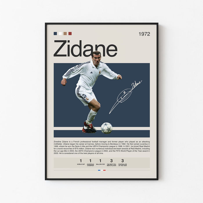 Zinedine Zidane Poster